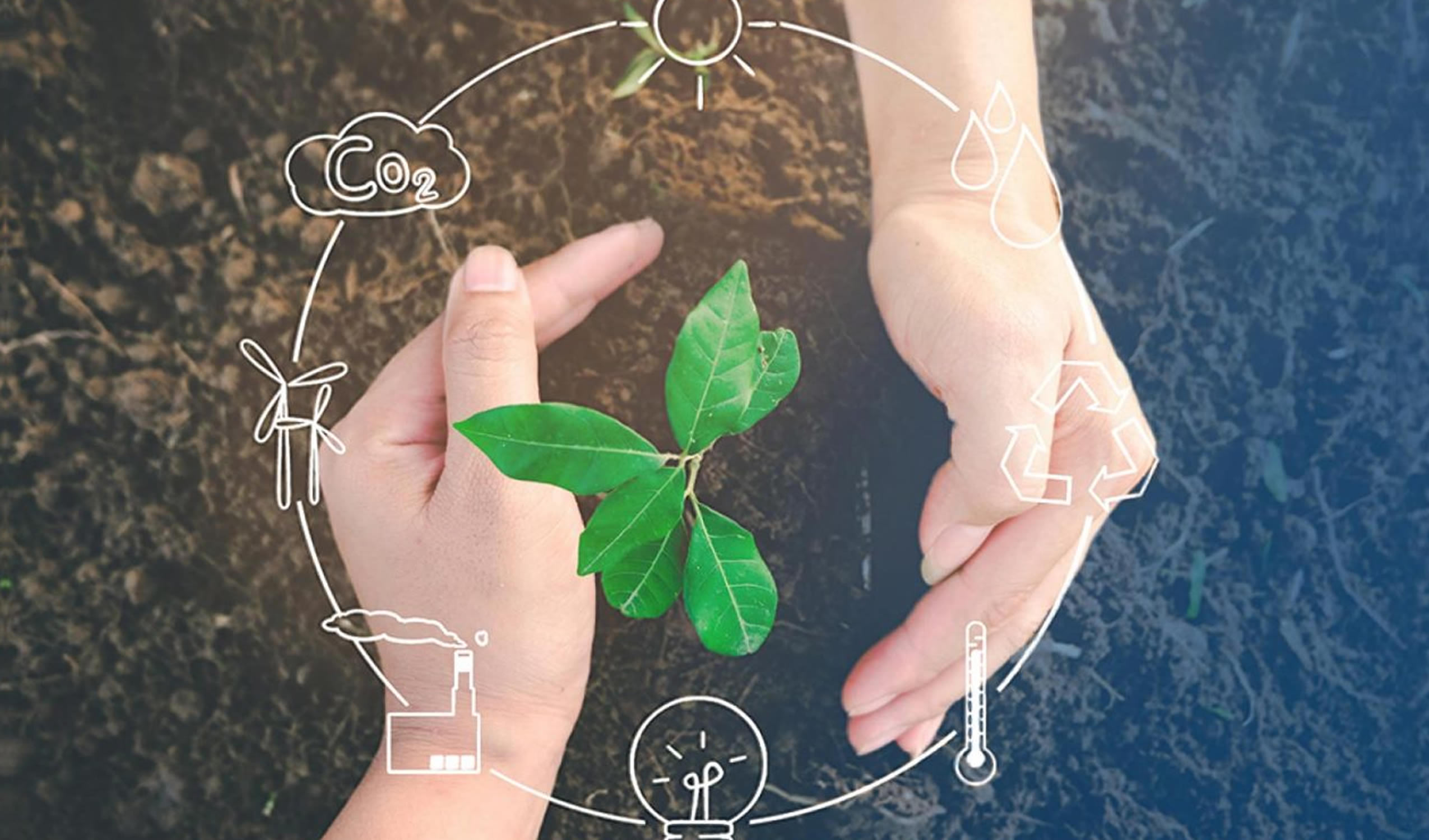 ESG and Sustainability