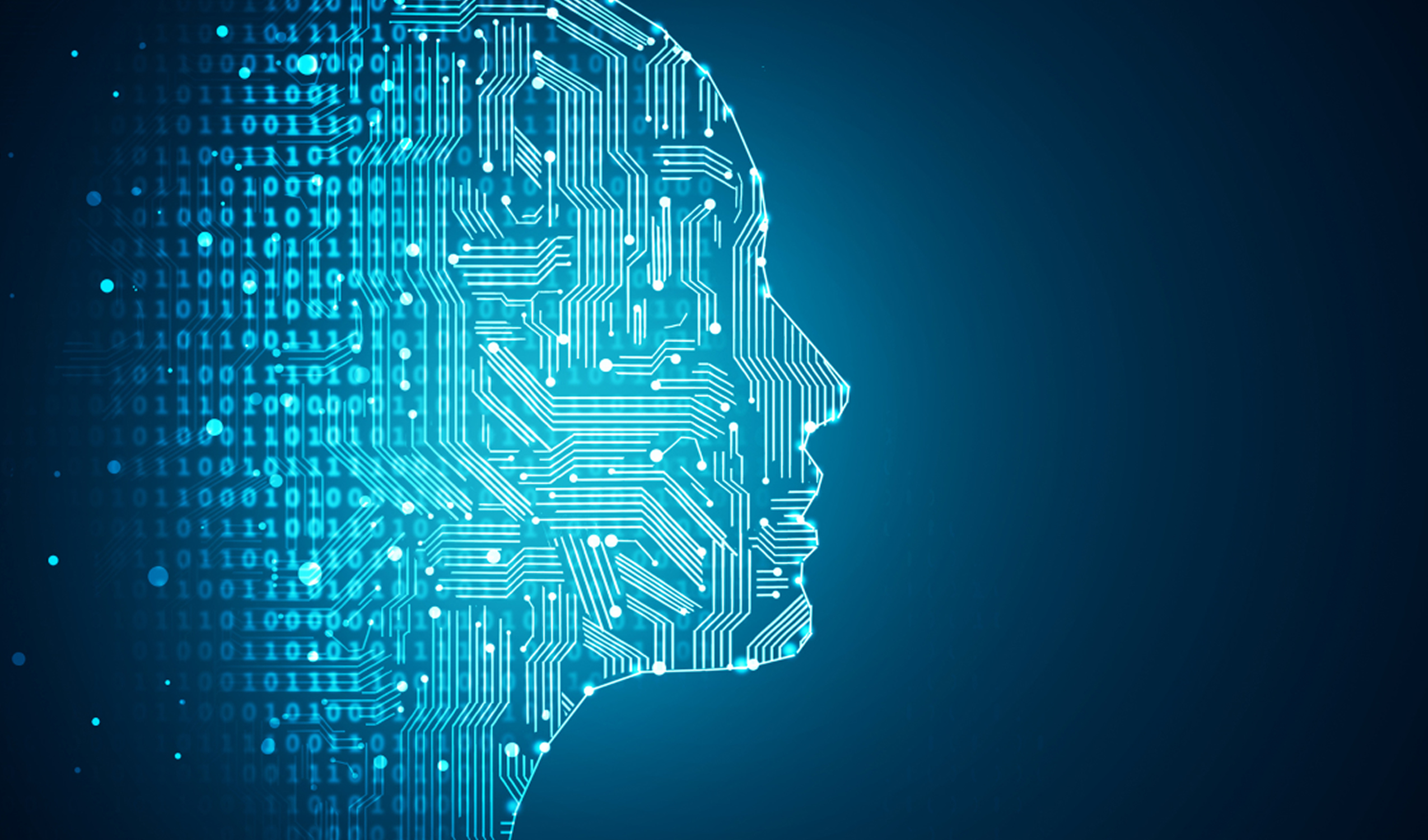 Information Technology Law & Artificial Intelligence