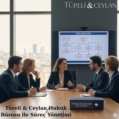 Türeli & Ceylan Hukuk Bürosu ile Süreç Yönetimi - Tureliceylan com